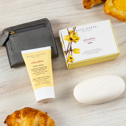 Deluxe Holiday Soap Set